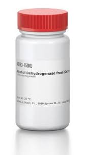 Alcohol Dehydrogenase 1.5KU Alcohol Dehydrogenase 1.5KU